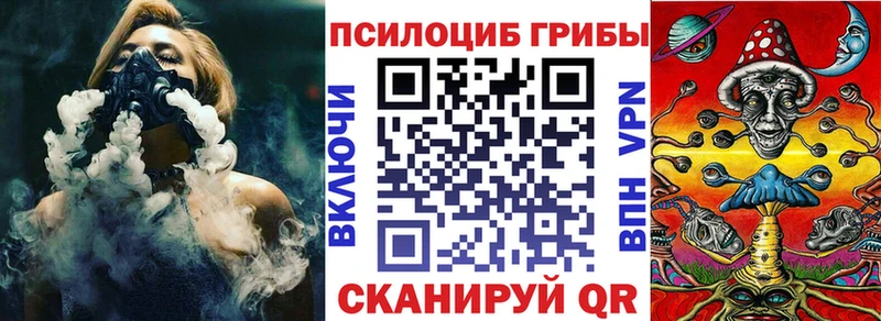 Псилоцибиновые грибы Cubensis  где продают наркотики  Голицыно 